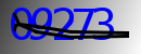 자동 가입 방지 CAPTCHA