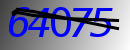 자동 가입 방지 CAPTCHA